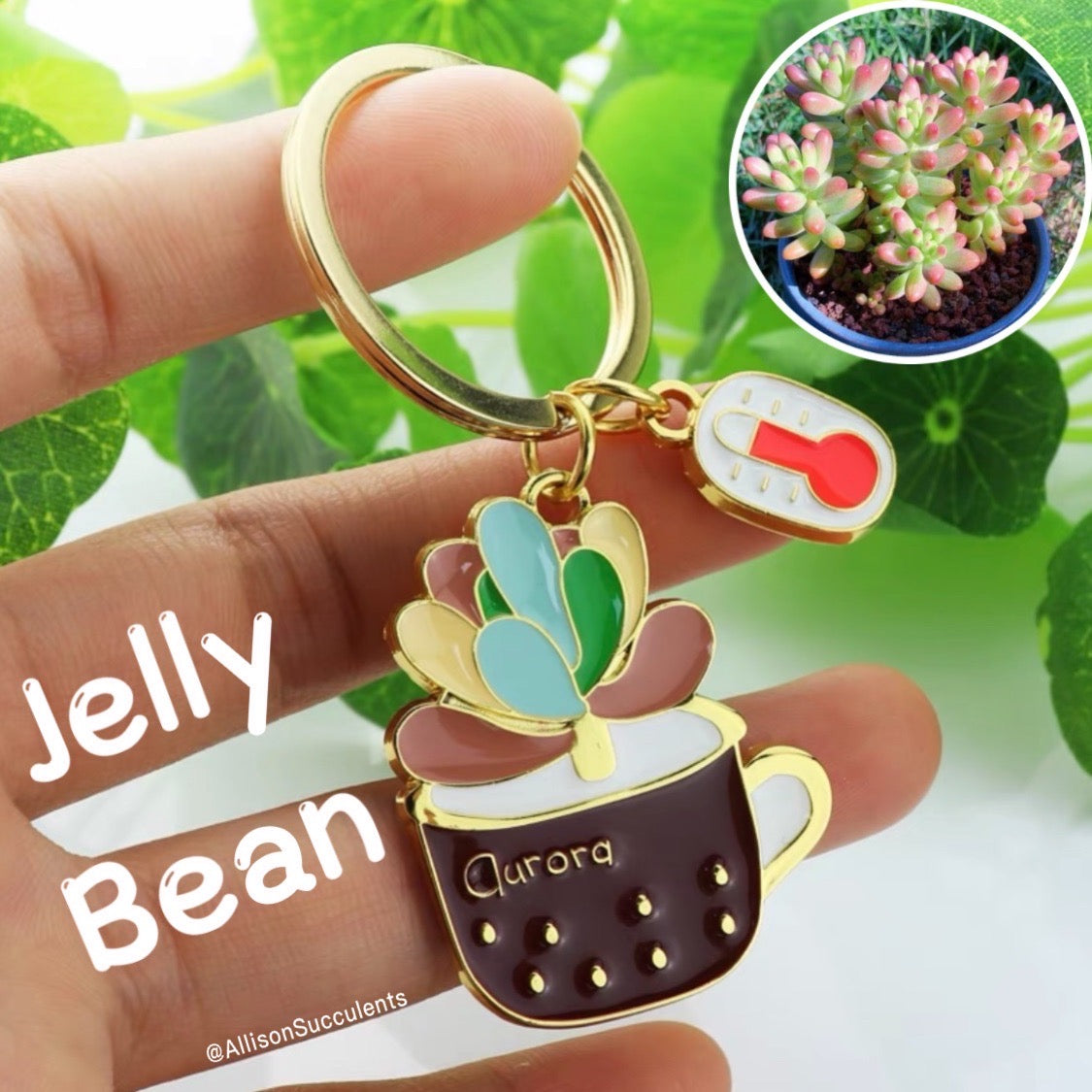1 pcs Cute Alloy “Bear’s Paw/ Jelly Bean/ Haworthia reinwardtii/ Opuntia Cactus” Keychain (sell by name)