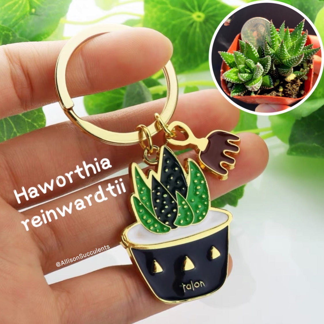 1 pcs Cute Alloy “Bear’s Paw/ Jelly Bean/ Haworthia reinwardtii/ Opuntia Cactus” Keychain (sell by name)