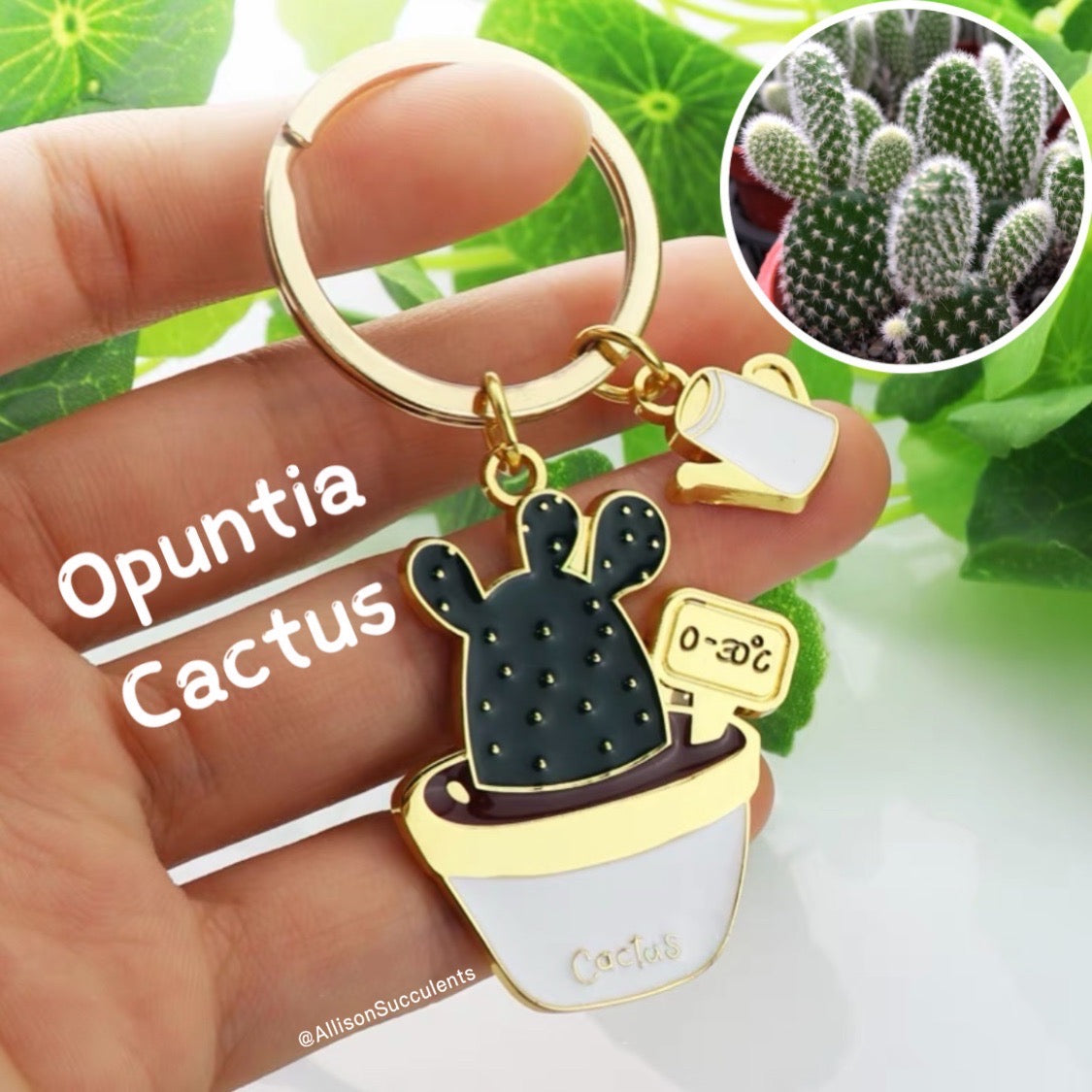 1 pcs Cute Alloy “Bear’s Paw/ Jelly Bean/ Haworthia reinwardtii/ Opuntia Cactus” Keychain (sell by name)