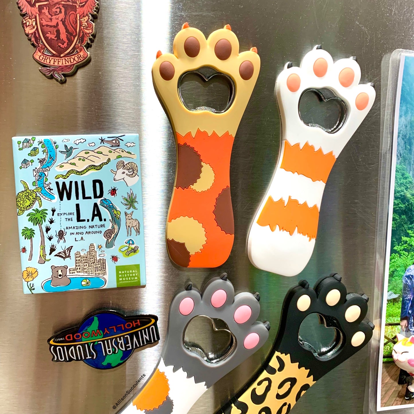 1 PCS Cute ’Cat Paw‘ Magnet Bottle Opener