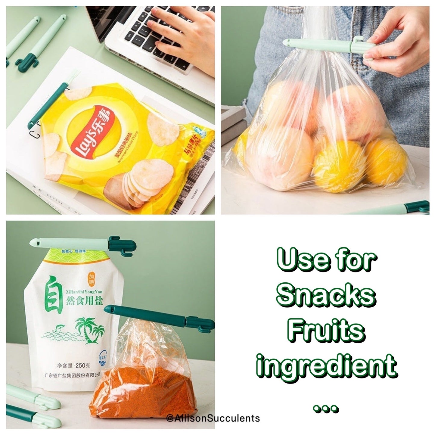 Cactus Bag Sealing Clips With Sticker Container