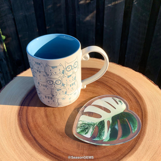 Realistic Monstera leaf Coaster | Tropical Plant Coaster | Coffee Coaster | Drink Coaster