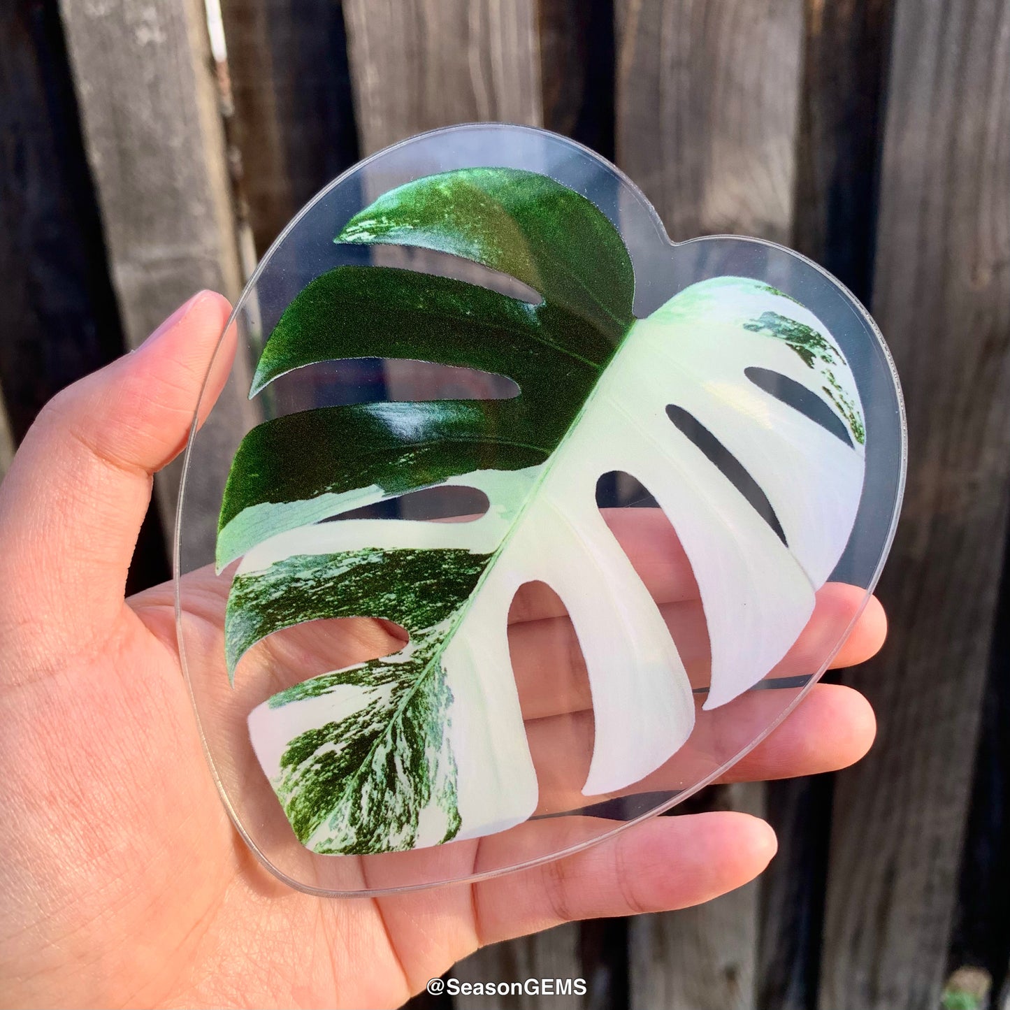 Realistic Monstera leaf Coaster | Tropical Plant Coaster | Coffee Coaster | Drink Coaster