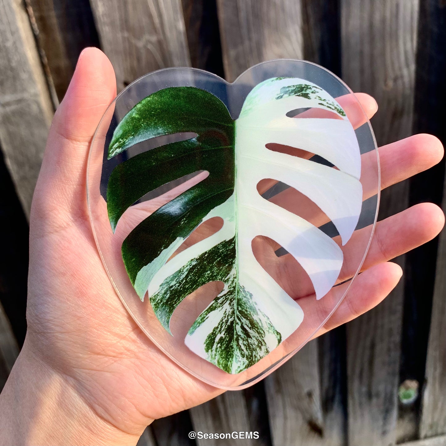 Realistic Monstera leaf Coaster | Tropical Plant Coaster | Coffee Coaster | Drink Coaster