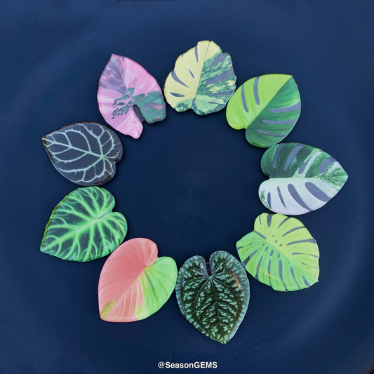 1pcs Tropical Plant Fridge Magnet | Realistic Leaf Refrigerator Magnets