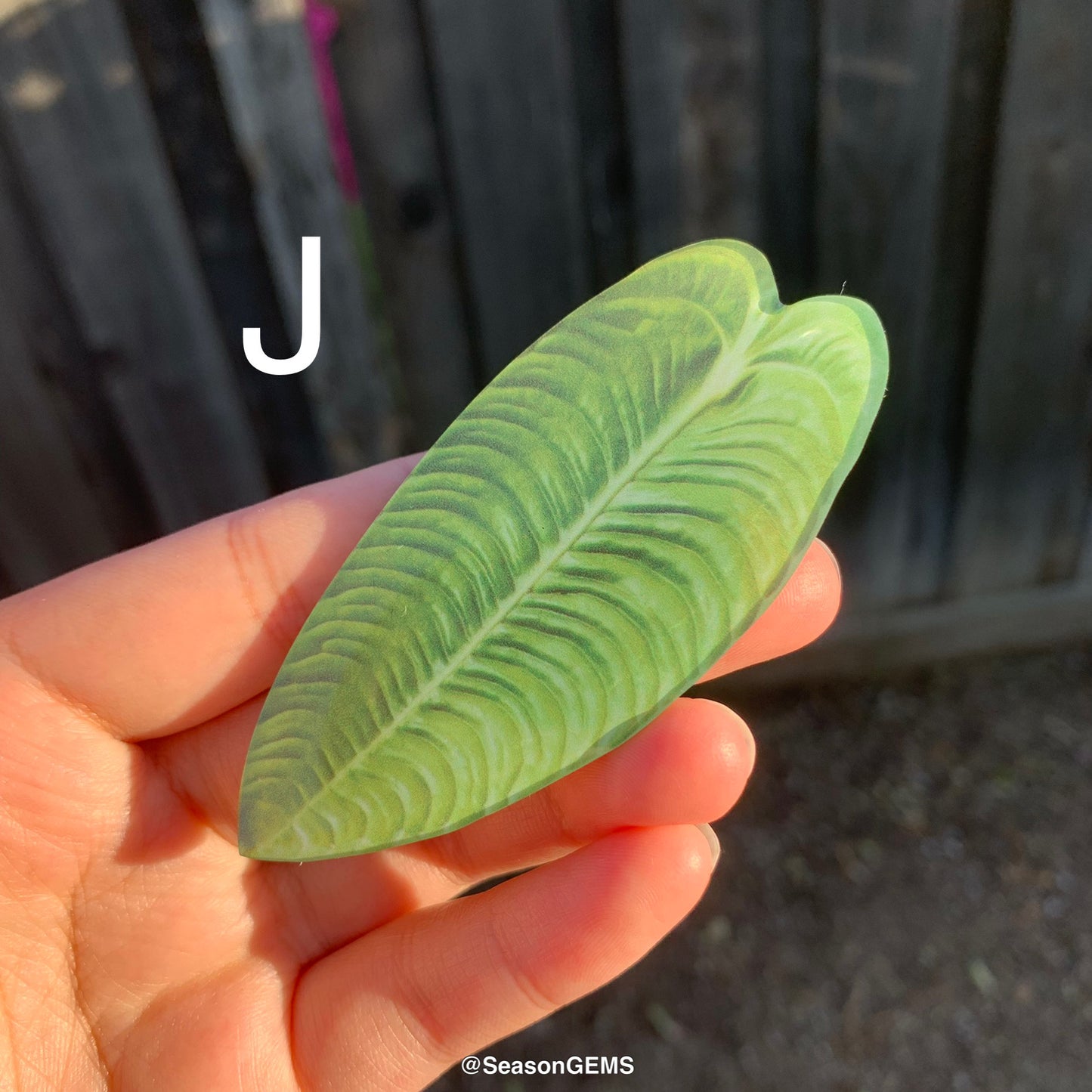 1pcs Tropical Plant Fridge Magnet | Realistic Leaf Refrigerator Magnets