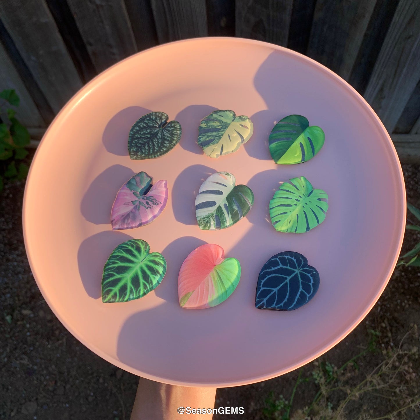 1pcs Tropical Plant Fridge Magnet | Realistic Leaf Refrigerator Magnets