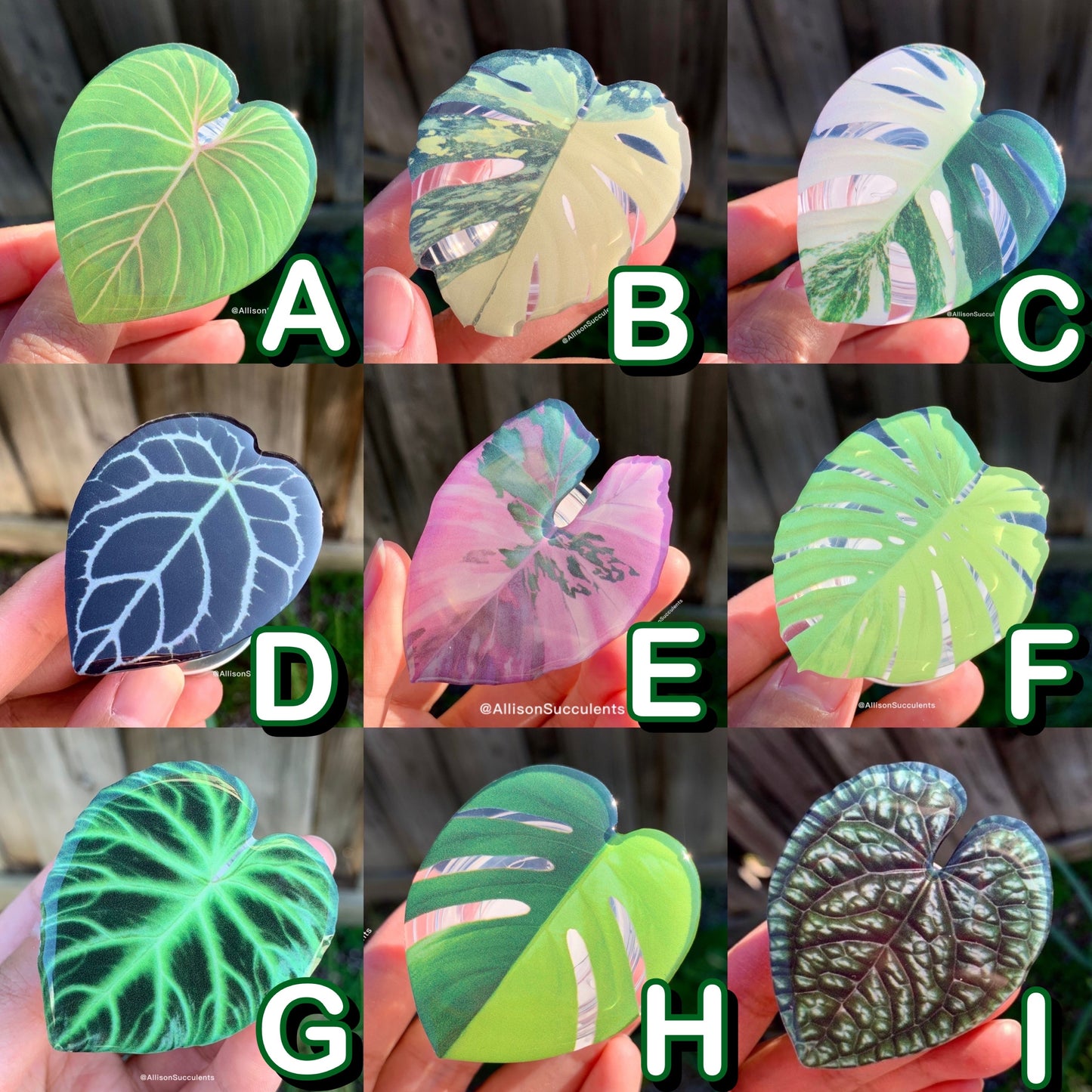 1 pcs Tropical Plant Phone Grip / Realistic leaf Acrylic Switchable Phone stand (sell by code)