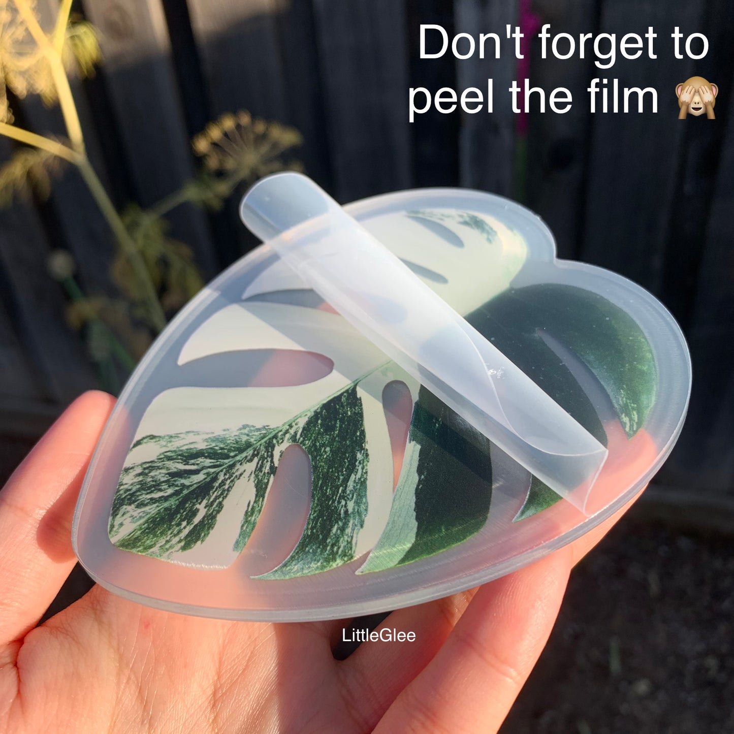 5 PCS Realistic Variegated Monstera Albo Set (Coaster, Phone Grip, Retractable Badge Reel, Keychain, Magnet)