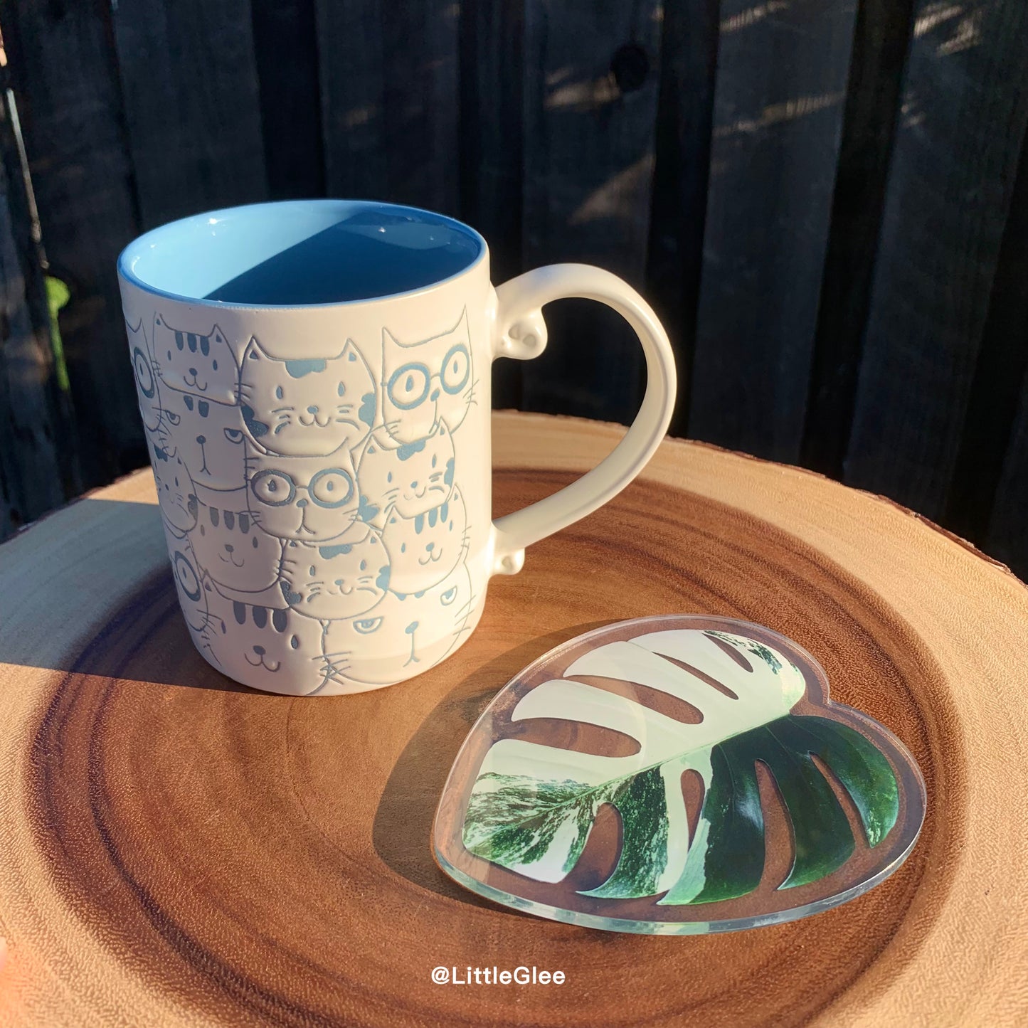 5 PCS Realistic Variegated Monstera Albo Set (Coaster, Phone Grip, Retractable Badge Reel, Keychain, Magnet)