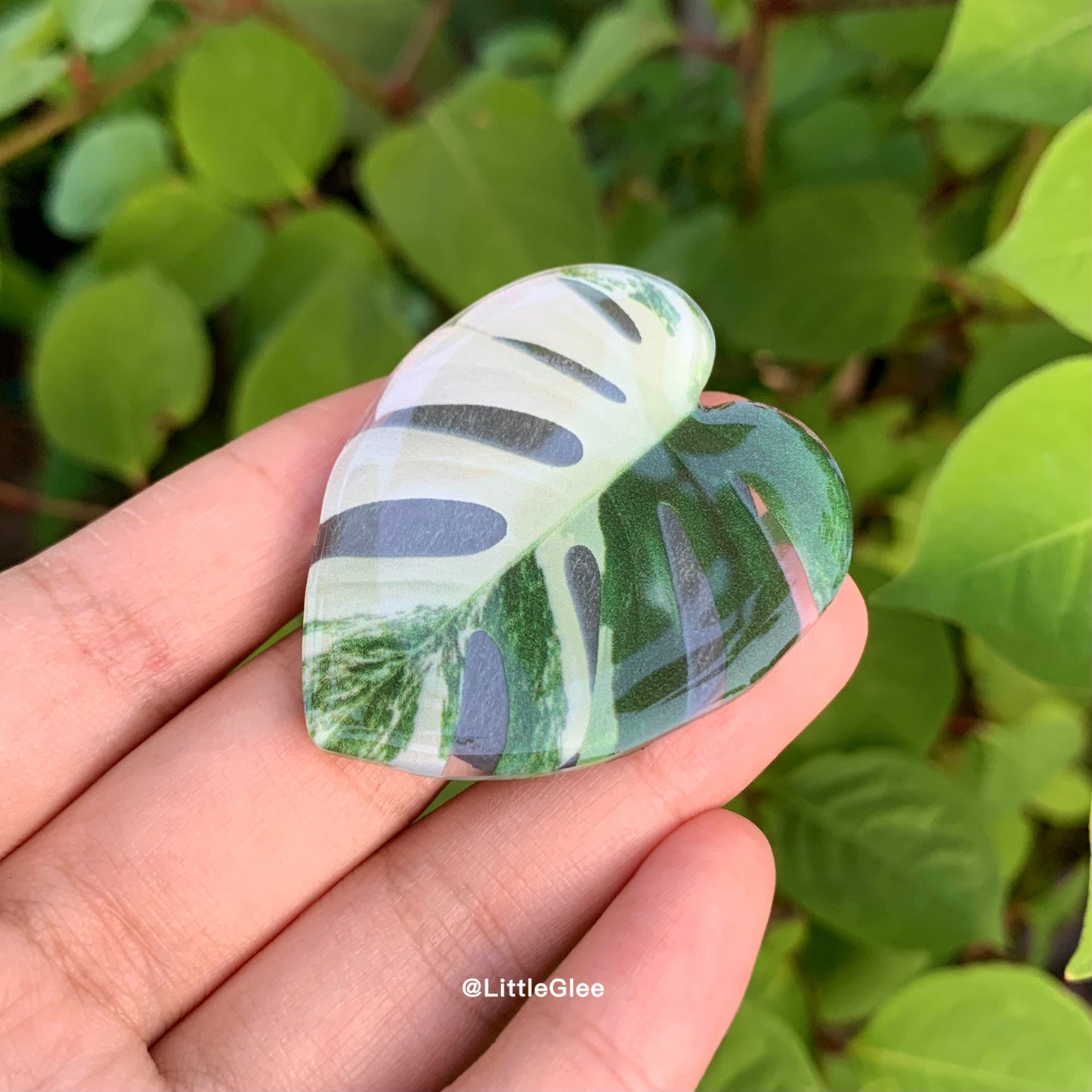 5 PCS Realistic Variegated Monstera Albo Set (Coaster, Phone Grip, Retractable Badge Reel, Keychain, Magnet)