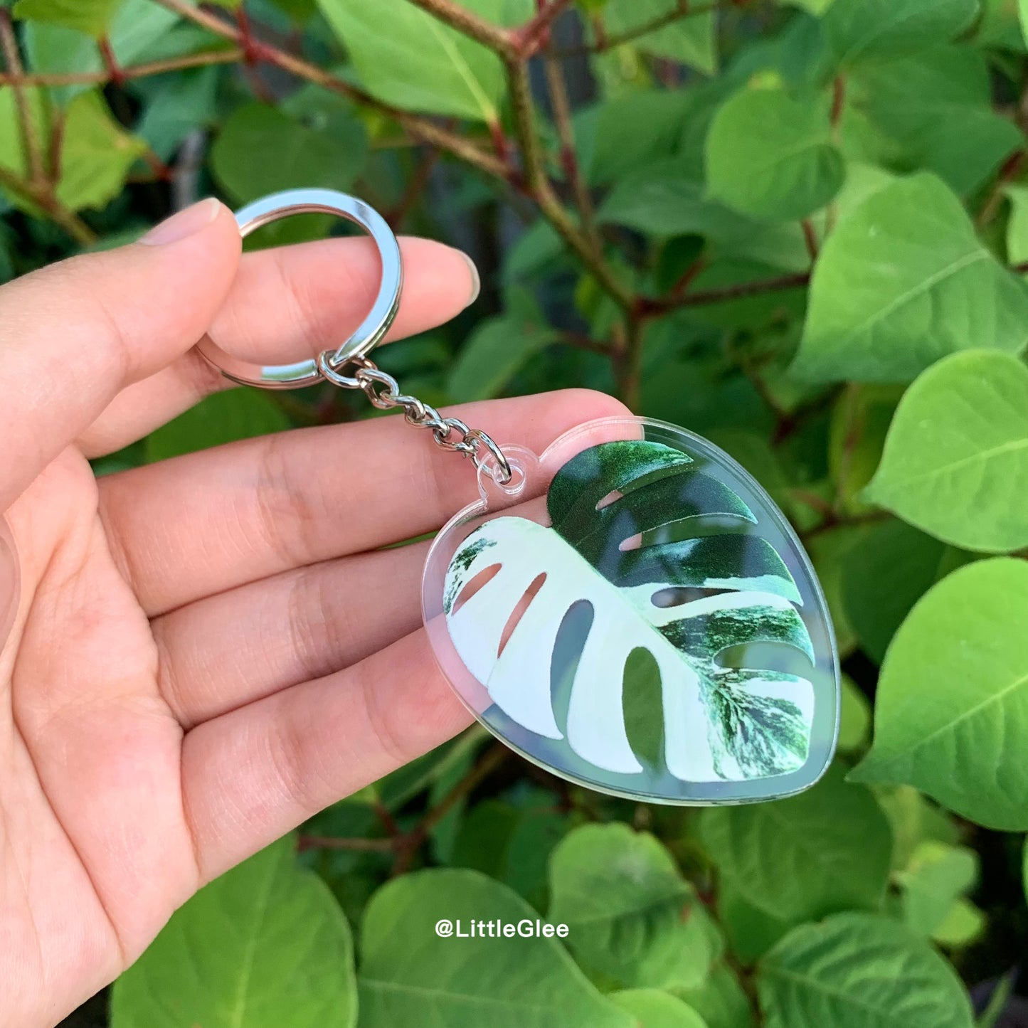 5 PCS Realistic Variegated Monstera Albo Set (Coaster, Phone Grip, Retractable Badge Reel, Keychain, Magnet)