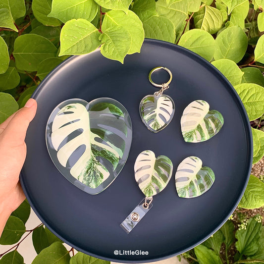 5 PCS Realistic Variegated Monstera Albo Set (Coaster, Phone Grip, Retractable Badge Reel, Keychain, Magnet)