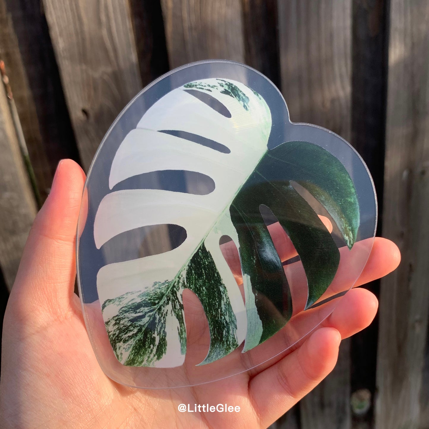 5 PCS Realistic Variegated Monstera Albo Set (Coaster, Phone Grip, Retractable Badge Reel, Keychain, Magnet)