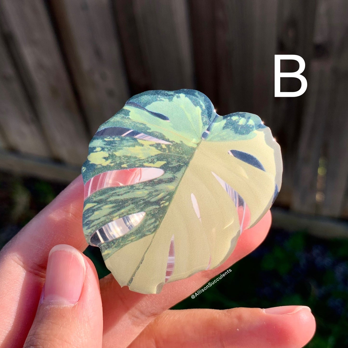 1 pcs Tropical Plant Phone Grip / Realistic leaf Acrylic Switchable Phone stand (sell by code)