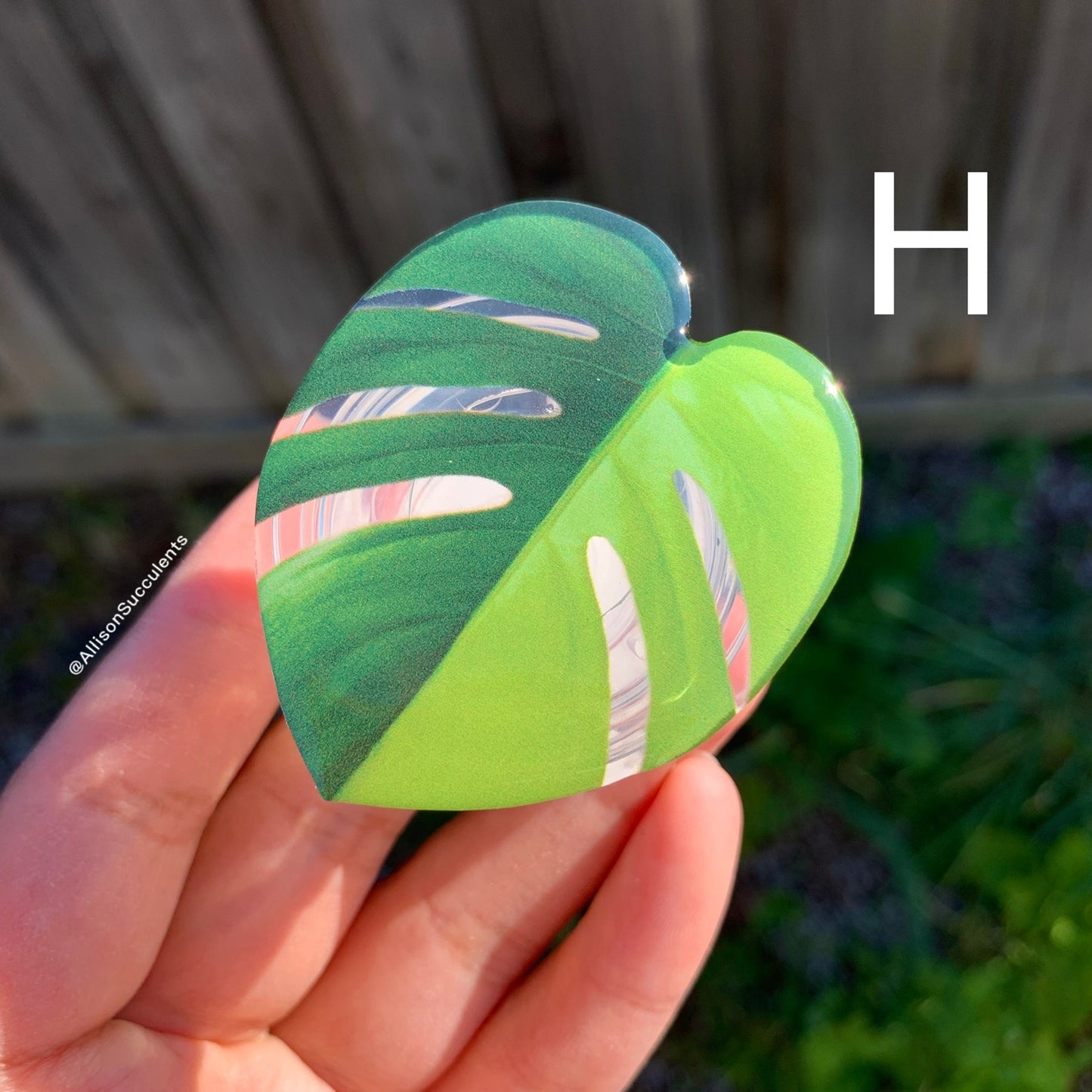 1 pcs Tropical Plant Phone Grip / Realistic leaf Acrylic Switchable Phone stand (sell by code)