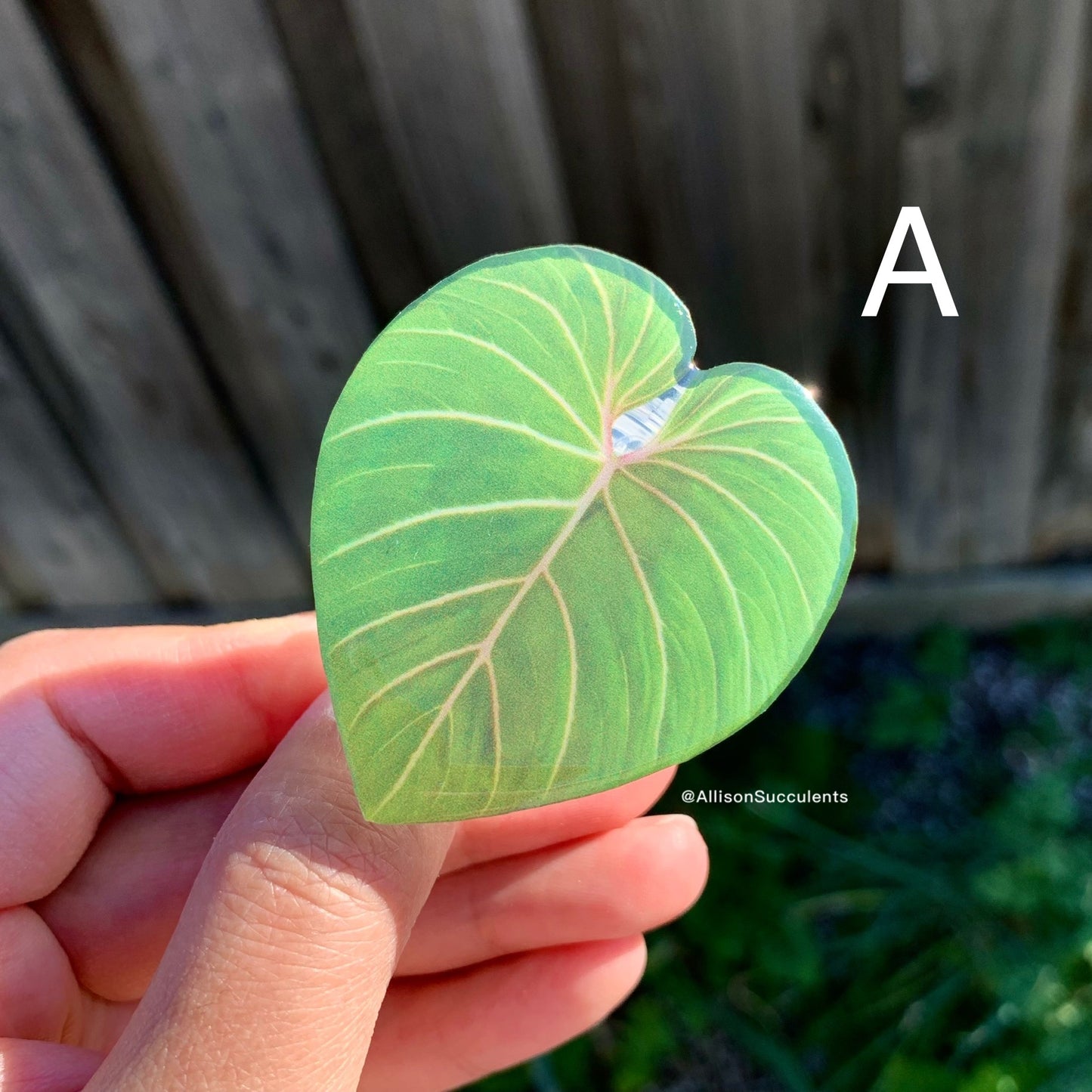 1 pcs Tropical Plant Phone Grip / Realistic leaf Acrylic Switchable Phone stand (sell by code)