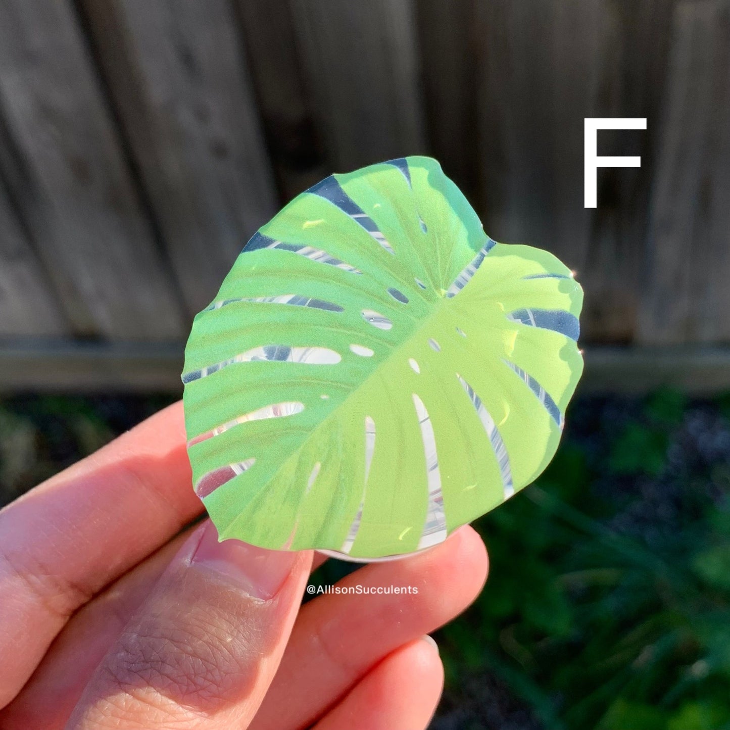 1 pcs Tropical Plant Phone Grip / Realistic leaf Acrylic Switchable Phone stand (sell by code)