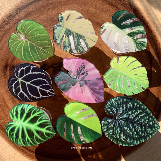 1 pcs Tropical Plant Phone Grip / Realistic leaf Acrylic Switchable Phone stand (sell by code)