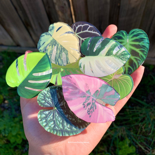 9 PCS Tropical Plant Phone Grip / Realistic leaf Acrylic Switchable Phone stand