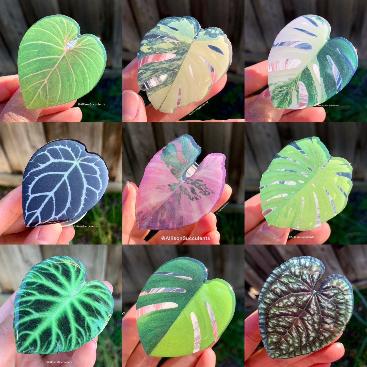 9 PCS Tropical Plant Phone Grip / Realistic leaf Acrylic Switchable Phone stand