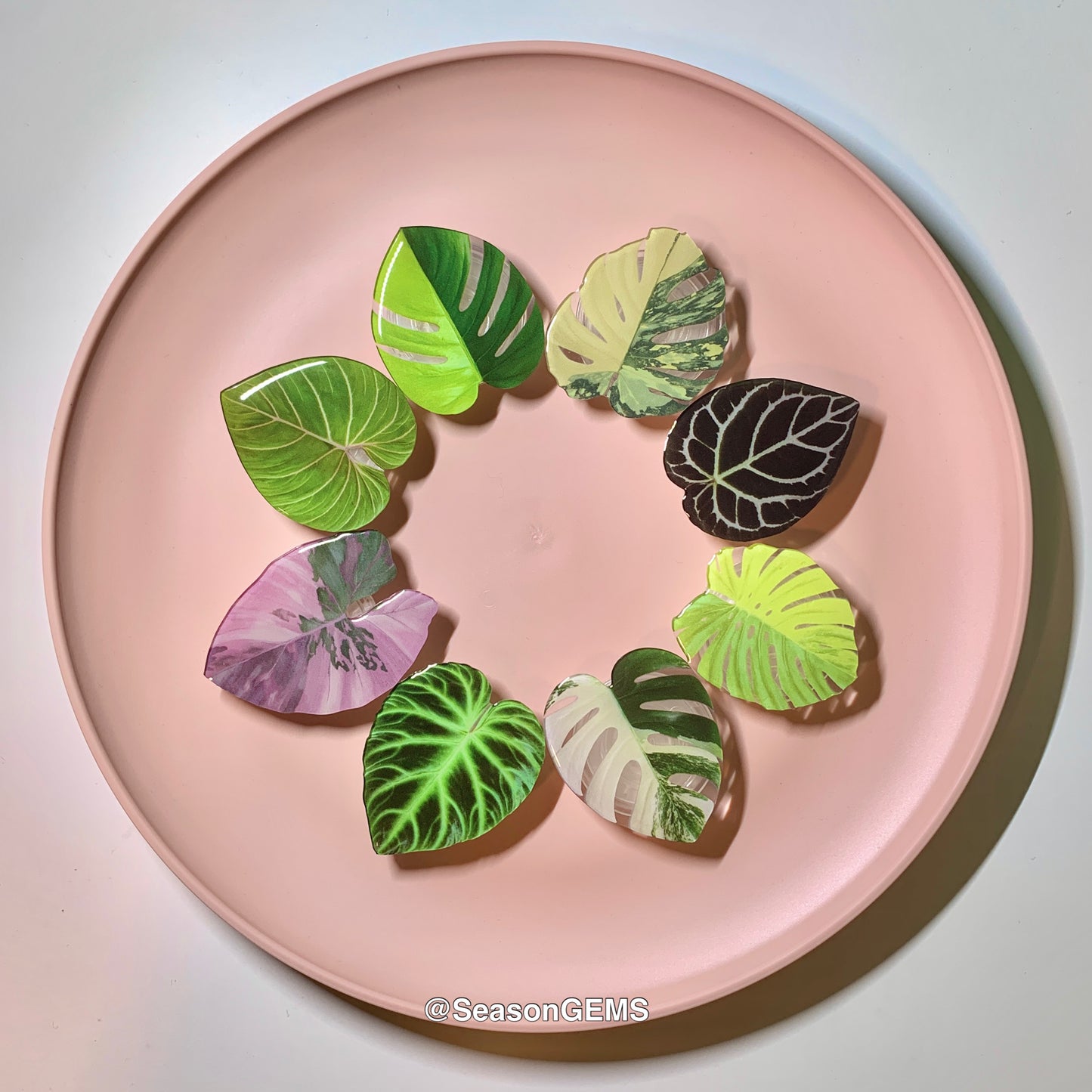 1 pcs Tropical Plant Phone Grip / Realistic leaf Acrylic Switchable Phone stand (sell by code)