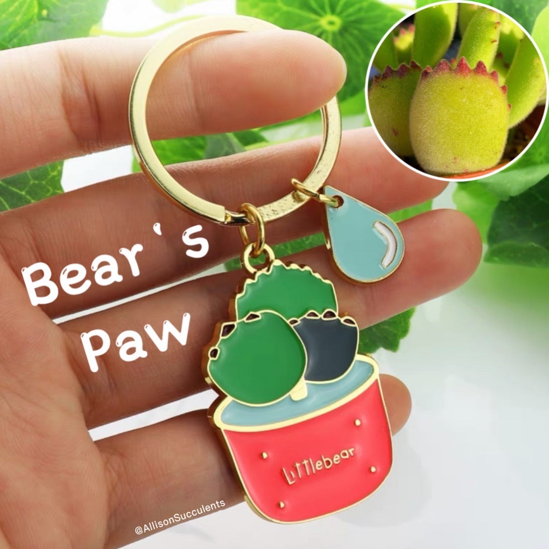 1 pcs Cute Alloy “Bear’s Paw/ Jelly Bean/ Haworthia reinwardtii/ Opuntia Cactus” Keychain (sell by name)