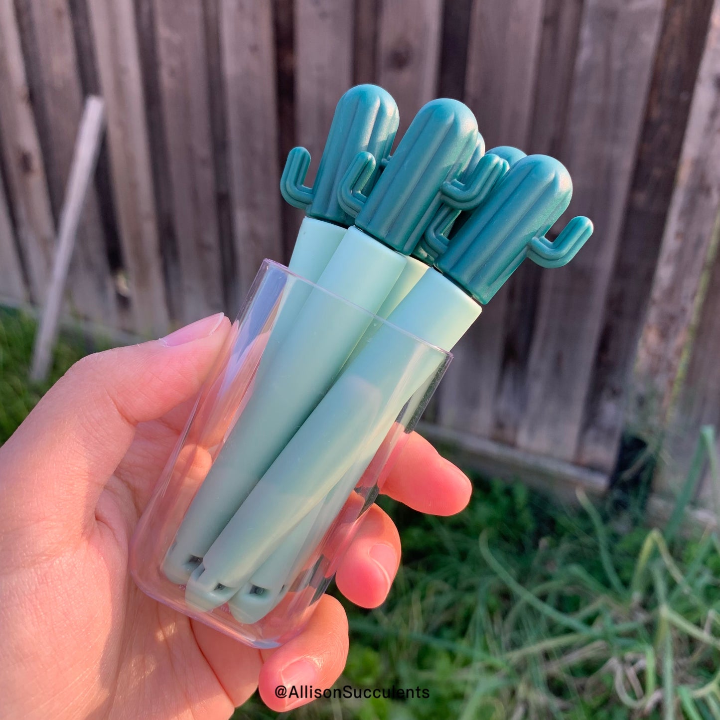 Cactus Bag Sealing Clips With Sticker Container