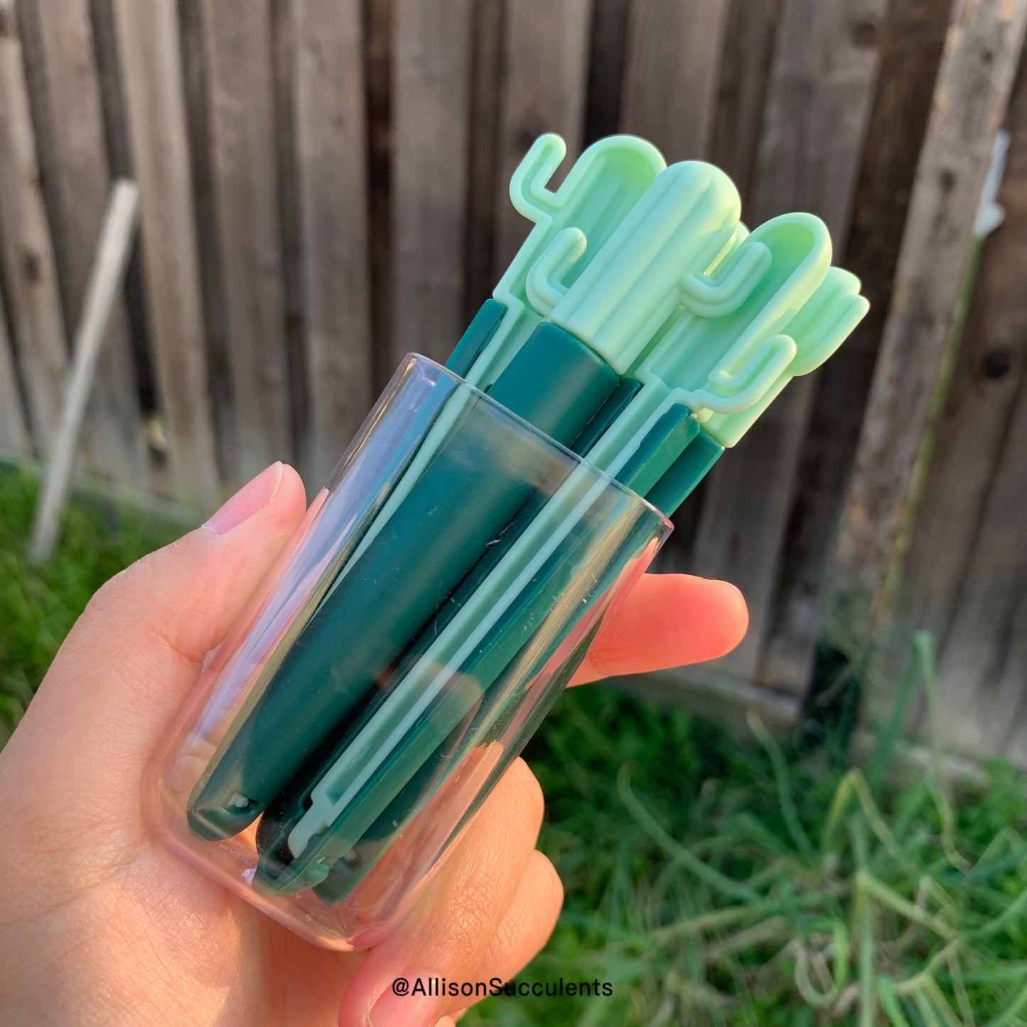 Cactus Bag Sealing Clips With Sticker Container