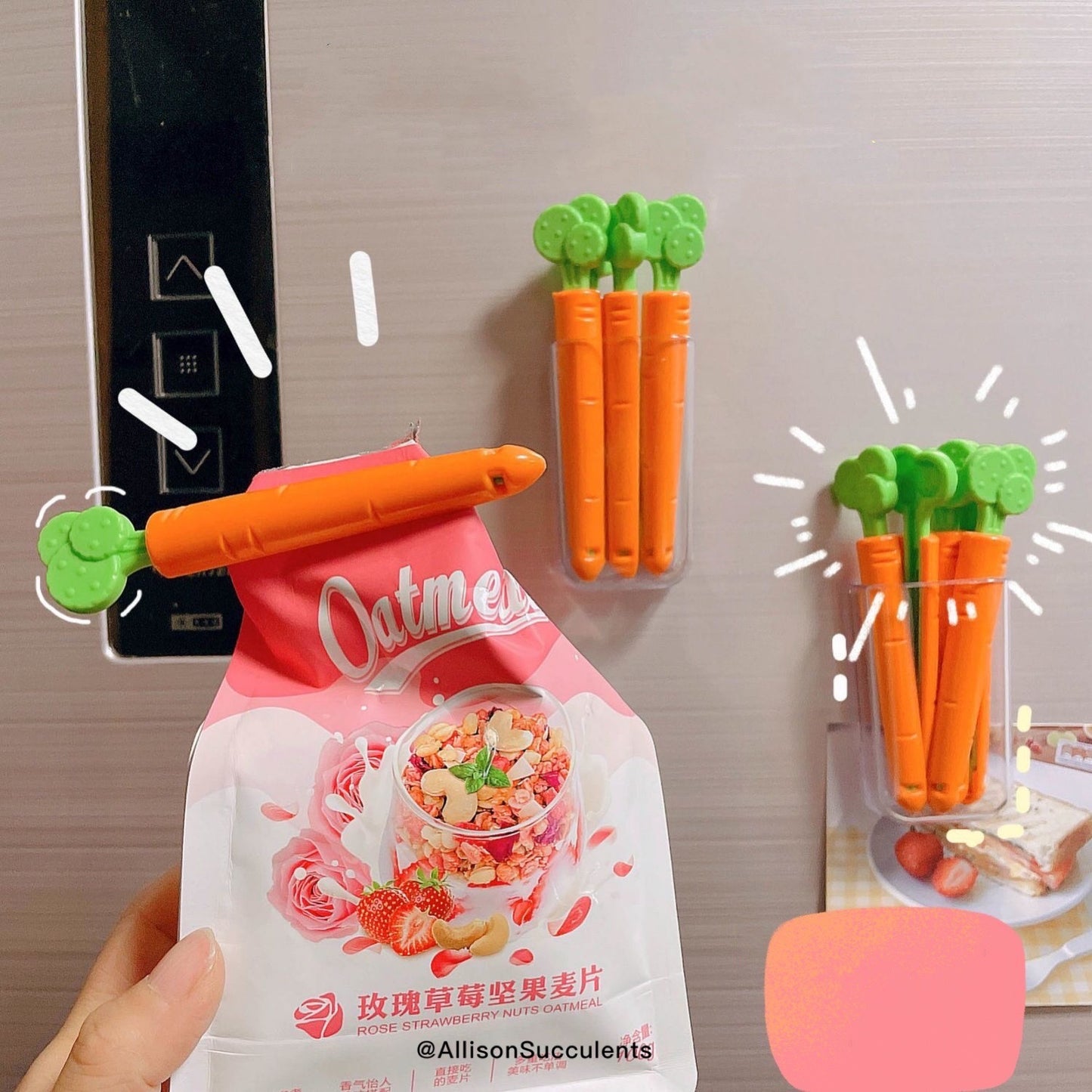Carrot Bag Sealing Clips With Magnet Container