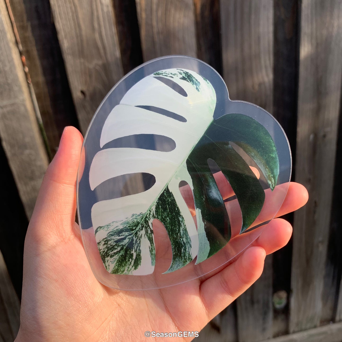 Realistic Monstera leaf Coaster | Tropical Plant Coaster | Coffee Coaster | Drink Coaster