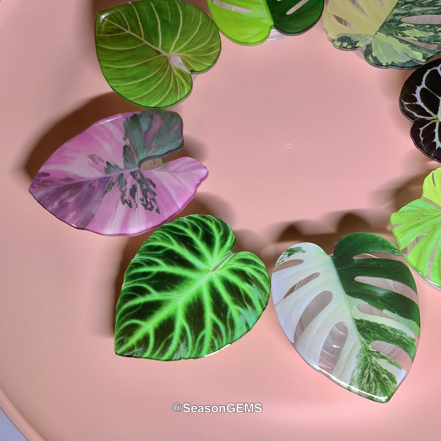 1 pcs Tropical Plant Phone Grip / Realistic leaf Acrylic Switchable Phone stand (sell by code)